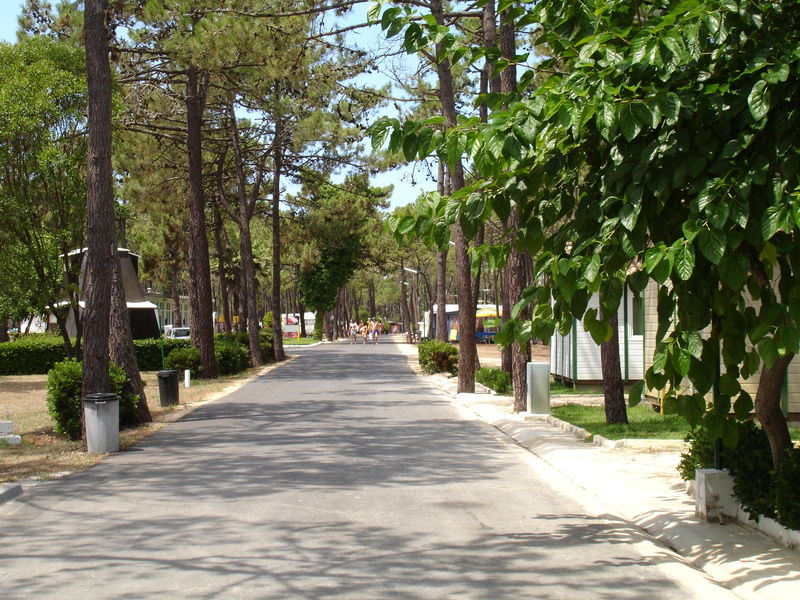 Hotel Parque De Campismo Orbitur Gala Figueira da Foz Exterior foto